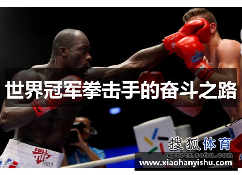 世界冠军拳击手的奋斗之路